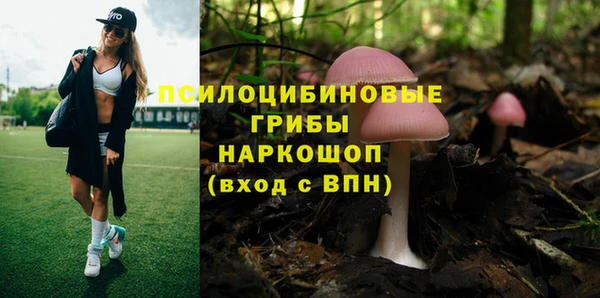 МДПВ Бугульма