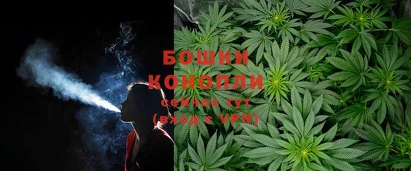 дурь Богданович