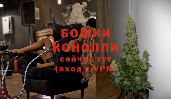 мет Бородино