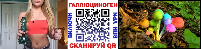 Галлюциногенные грибы Psilocybe  наркошоп  Бузулук 